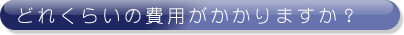 どれくらいの費用がかかりますか？