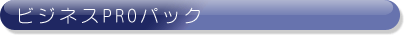TSS　ビジネスPROパック　\189,000